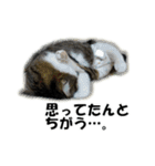 やっくんとちび（個別スタンプ：10）