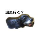 やっくんとちび（個別スタンプ：11）