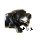 やっくんとちび（個別スタンプ：12）