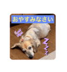 メグちゃん②Friends（個別スタンプ：2）