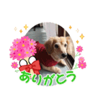 メグちゃん②Friends（個別スタンプ：3）