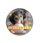 メグちゃん②Friends（個別スタンプ：5）