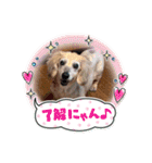 メグちゃん②Friends（個別スタンプ：8）