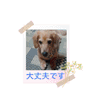 メグちゃん②Friends（個別スタンプ：9）