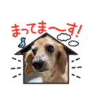 メグちゃん②Friends（個別スタンプ：10）