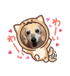 メグちゃん②Friends（個別スタンプ：23）