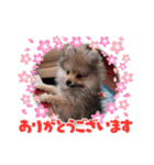 メグちゃん②Friends（個別スタンプ：27）