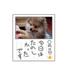 メグちゃん②Friends（個別スタンプ：28）