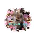 メグちゃん②Friends（個別スタンプ：29）
