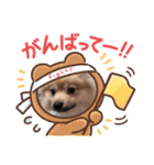 メグちゃん②Friends（個別スタンプ：30）