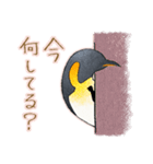 ゲイのペンギンカップル1（個別スタンプ：3）