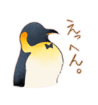 ゲイのペンギンカップル1（個別スタンプ：9）