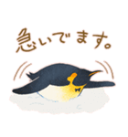 ゲイのペンギンカップル1（個別スタンプ：13）