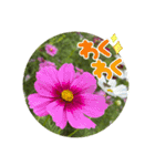 ゆきちゃん宅スタンプ3（個別スタンプ：10）