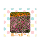 ゆきちゃん宅スタンプ3（個別スタンプ：12）