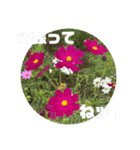 ゆきちゃん宅スタンプ3（個別スタンプ：13）