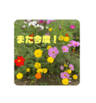 ゆきちゃん宅スタンプ3（個別スタンプ：21）