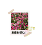 ゆきちゃん宅スタンプ3（個別スタンプ：22）