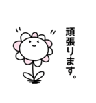 ほんわかな花✿シンプル 【敬語多め】日常（個別スタンプ：25）