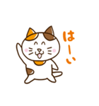 ねことねことねことねこの日常（個別スタンプ：16）