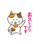 ねことねことねことねこの日常（個別スタンプ：24）