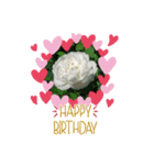 お花大好き〜HAPPY BIRTHDAY（個別スタンプ：1）