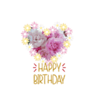 お花大好き〜HAPPY BIRTHDAY（個別スタンプ：12）