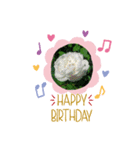 お花大好き〜HAPPY BIRTHDAY（個別スタンプ：29）