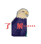 動物スタンプだよい（個別スタンプ：1）