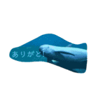 動物スタンプだよい（個別スタンプ：16）
