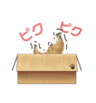 かわいいかわいいビリー。（個別スタンプ：7）