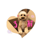 我が家のレモンたん（個別スタンプ：7）