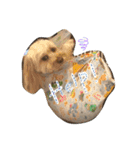 我が家のレモンたん（個別スタンプ：17）