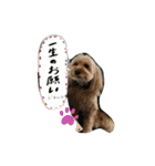 我が家のレモンたん（個別スタンプ：24）