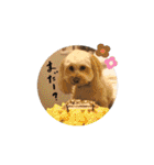 我が家のレモンたん（個別スタンプ：29）