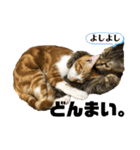 あんぷtoらうる2（個別スタンプ：4）