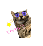 あんぷtoらうる2（個別スタンプ：7）