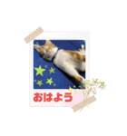 あんぷtoらうる2（個別スタンプ：10）
