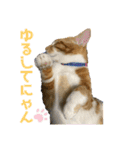 あんぷtoらうる2（個別スタンプ：12）