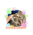 あんぷtoらうる2（個別スタンプ：13）