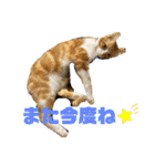 あんぷtoらうる2（個別スタンプ：15）