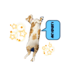 あんぷtoらうる2（個別スタンプ：16）