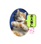 あんぷtoらうる2（個別スタンプ：19）
