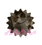 あんぷtoらうる2（個別スタンプ：24）
