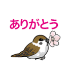 たくさん ありがとう（個別スタンプ：20）