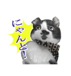 Oさん家のにゃんこたち（個別スタンプ：4）