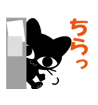 LINEスタンプの日×黒猫とあそぼう3（個別スタンプ：15）