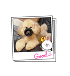 愛犬プリンの日常的に使えるスタンプ2（個別スタンプ：10）