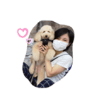 愛犬プリンの日常的に使えるスタンプ2（個別スタンプ：13）