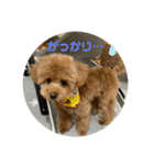 すごく使えるワン（個別スタンプ：8）